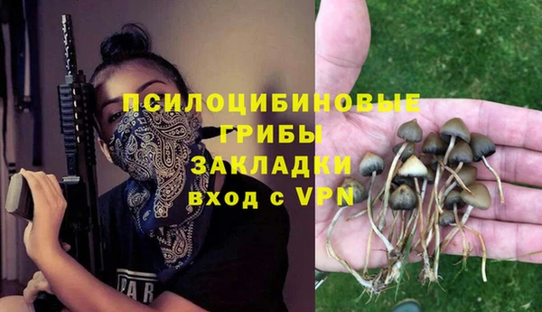 ПСИЛОЦИБИНОВЫЕ ГРИБЫ Алексин