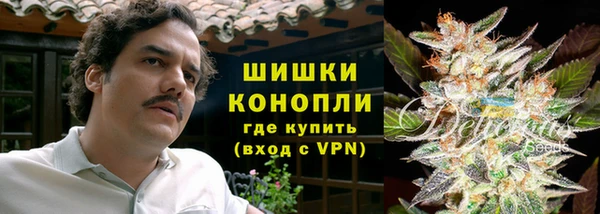 ПСИЛОЦИБИНОВЫЕ ГРИБЫ Алексин