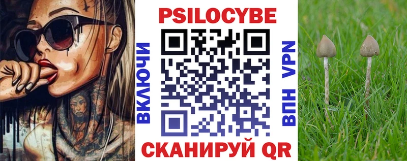 продажа наркотиков  Учалы  Псилоцибиновые грибы Psilocybine cubensis 